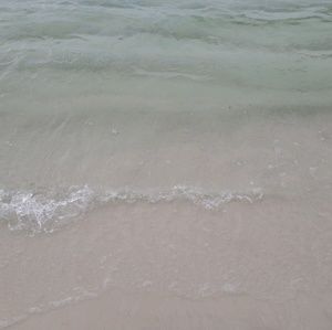 Meet your Posher, Cody